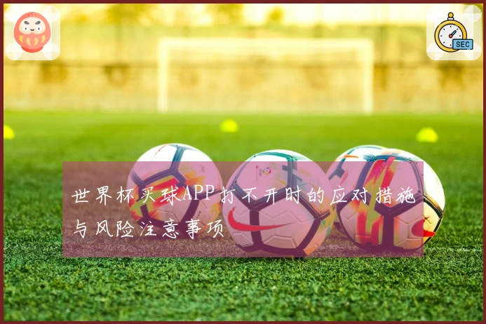 世界杯买球APP打不开时的应对措施与风险注意事项
