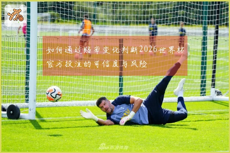 如何通过赔率变化判断2026世界杯官方投注的可信度与风险